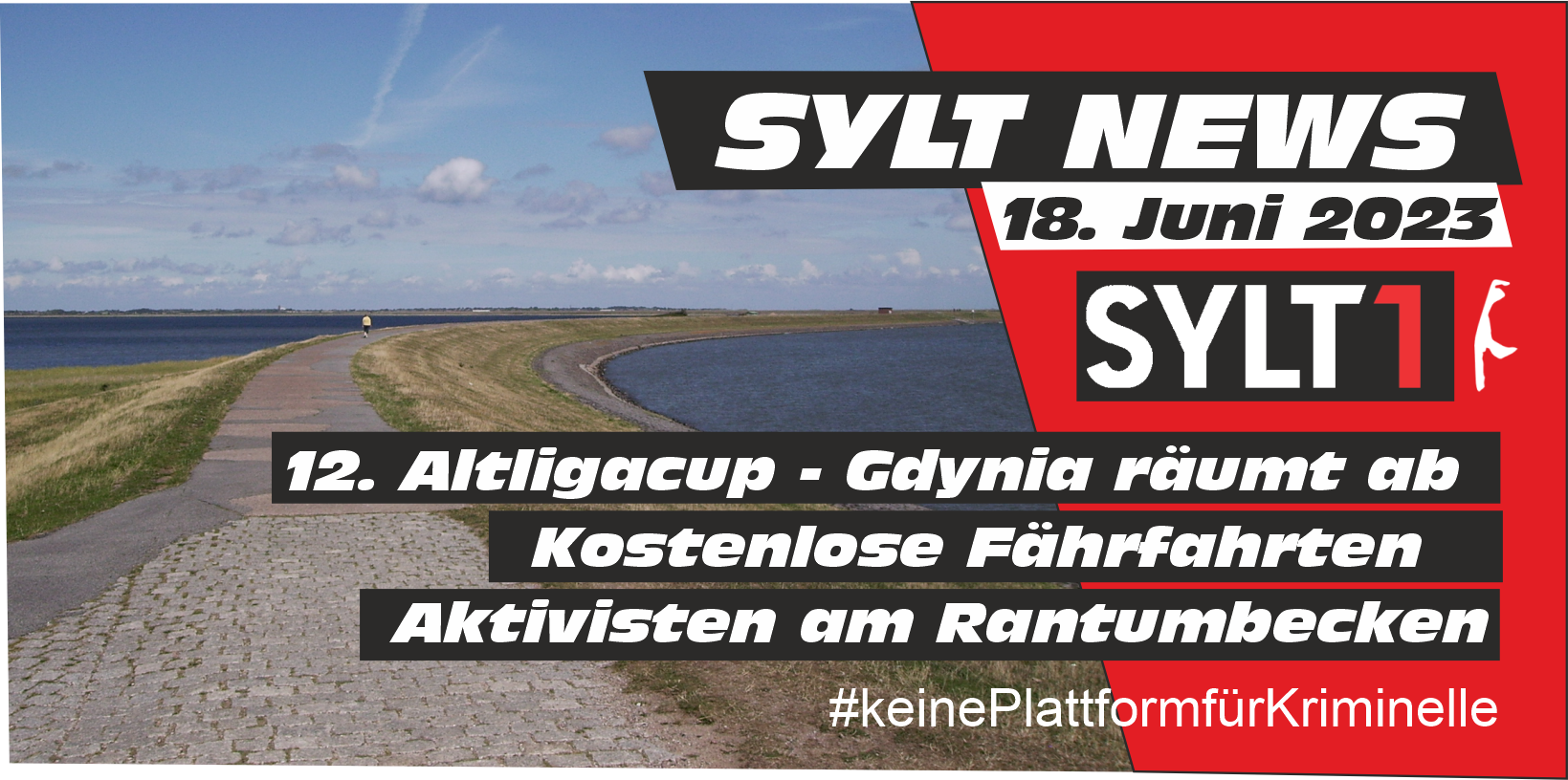 Sylt1 News