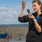 Die Forschung im Wattenmeer