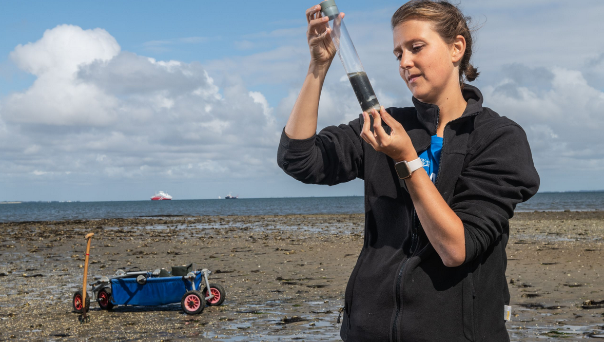 Die Forschung im Wattenmeer