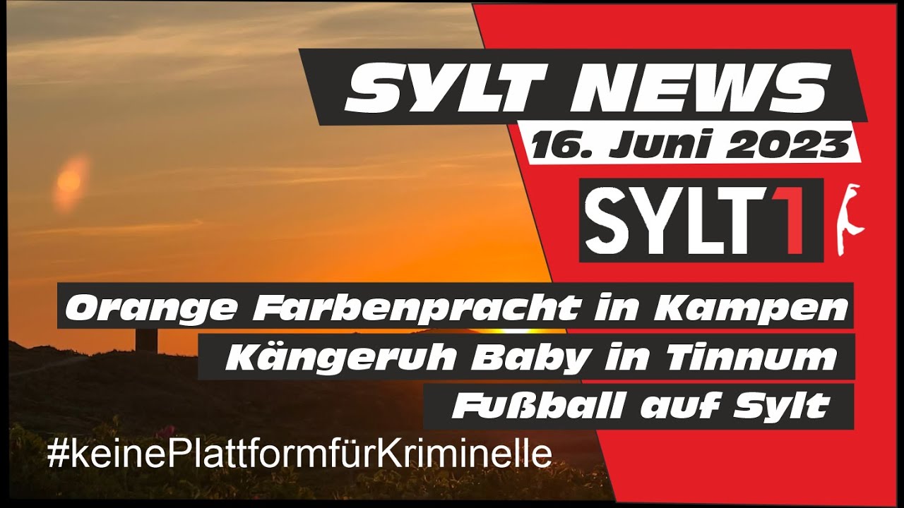 Sylt News vom 16. Juni